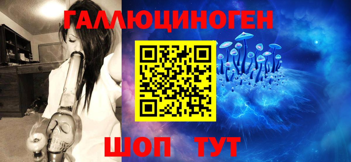 Ржев  даркнет сайт  Вход с VPN  Псилоцибиновые грибы мицелий 